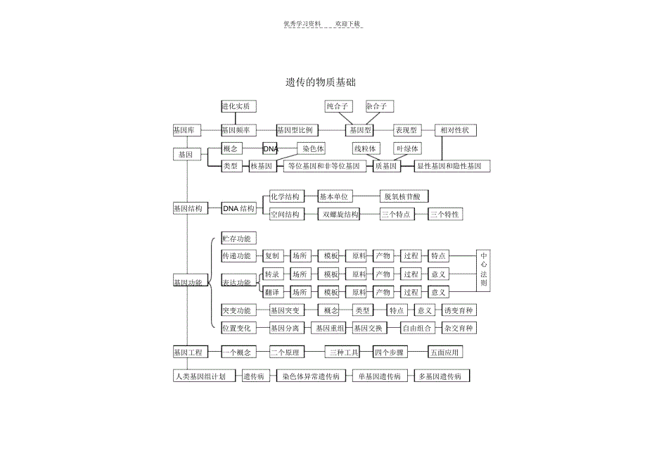 人教版教学素材《遗传与进化》思维导图_第2页