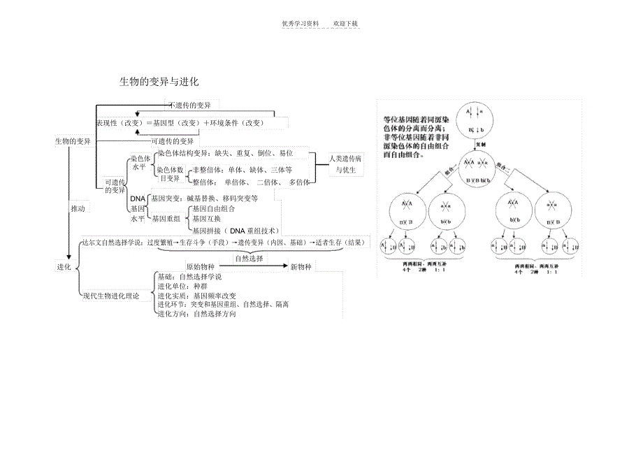人教版教学素材《遗传与进化》思维导图_第3页