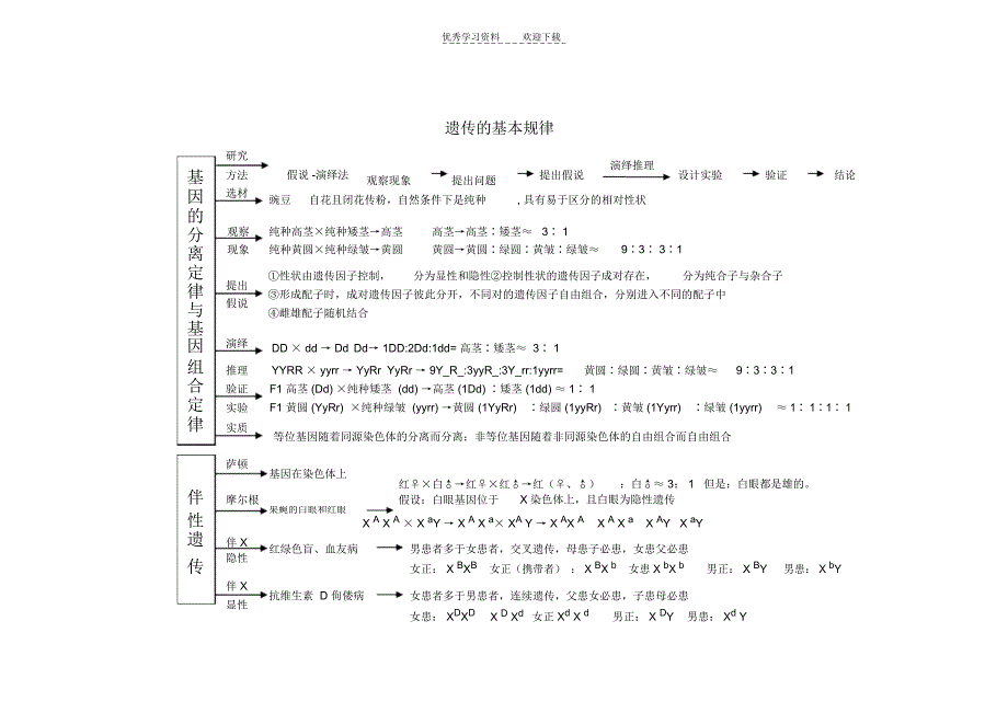 人教版教学素材《遗传与进化》思维导图_第4页