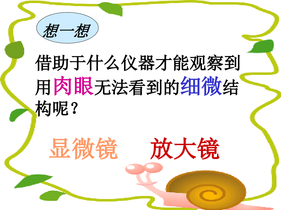 探索生命11_第3页