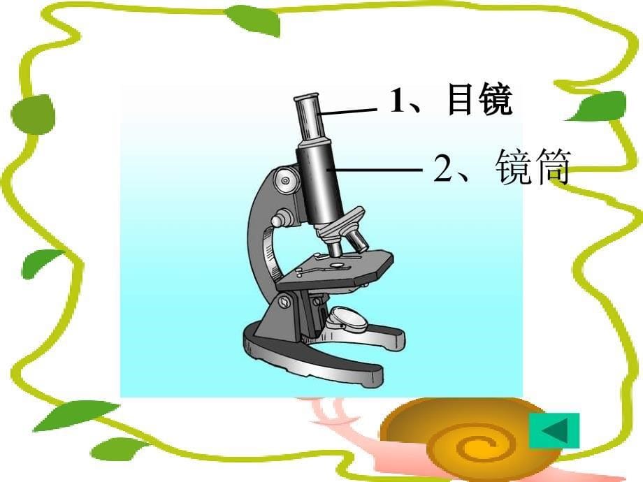 探索生命11_第5页