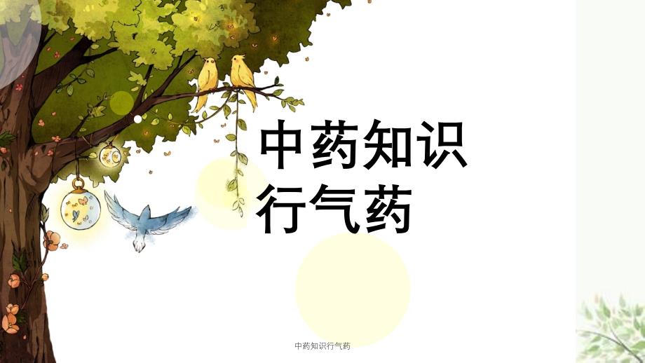 中药知识行气药课件_第1页