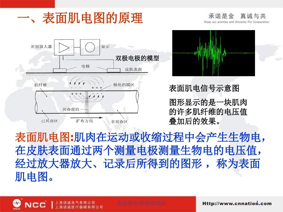 表面肌电图基础知识课件_第1页