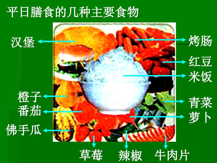 2.4细胞中的糖类和脂质课件龚洁_第1页