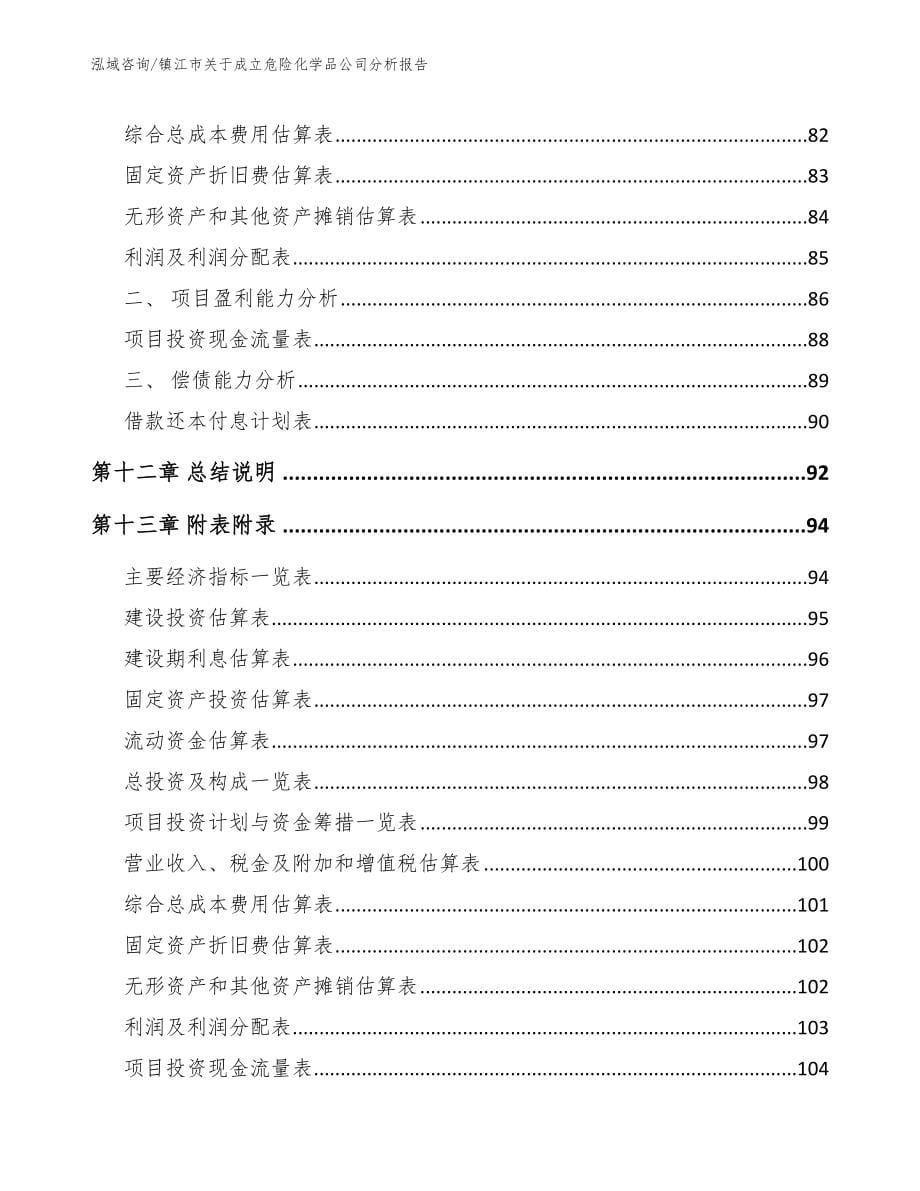 镇江市关于成立危险化学品公司分析报告（模板参考）_第5页