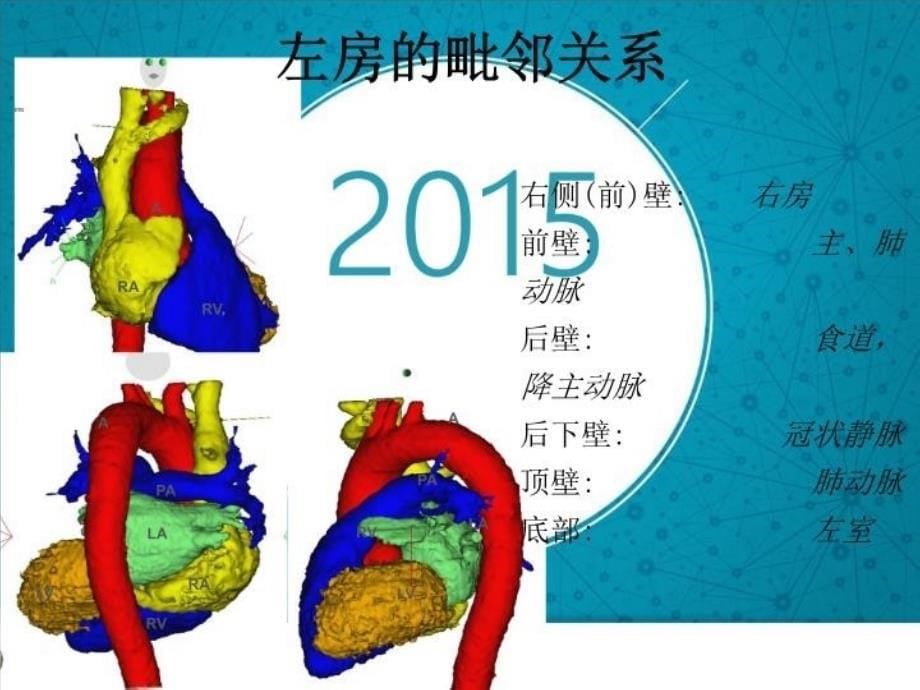 最新左房标测与消融PPT课件_第5页