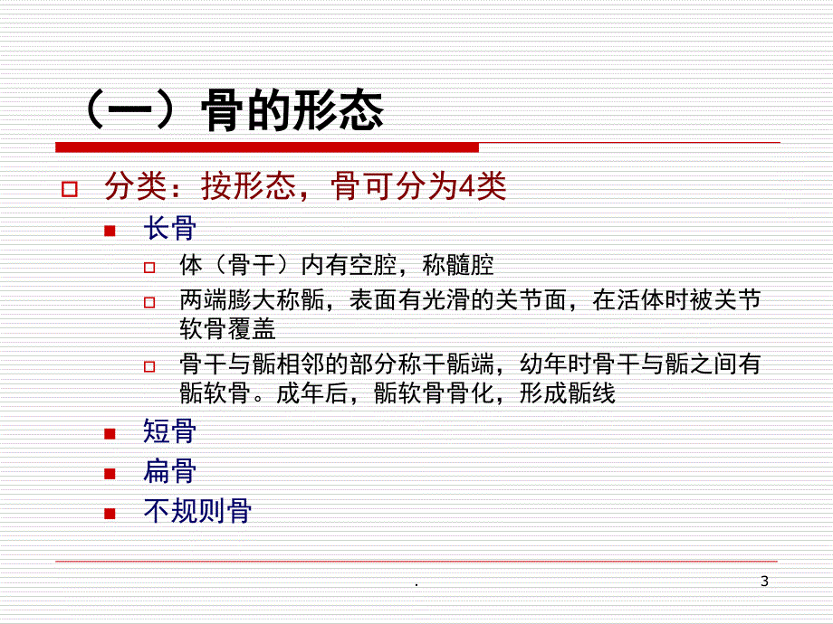 人体解剖学运动系统课堂PPT_第3页