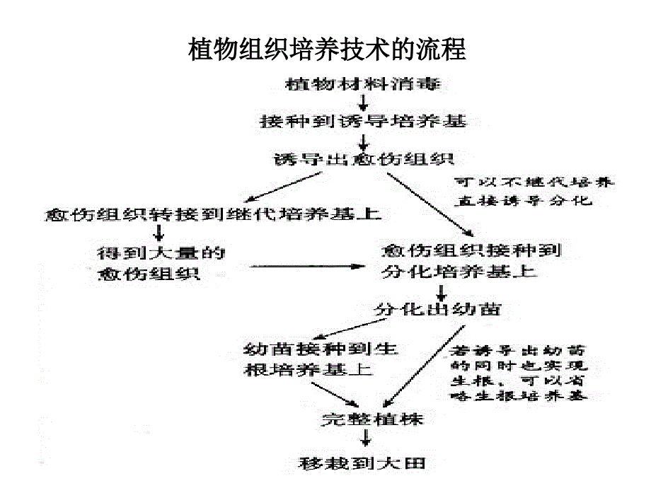 新课标人教版高中生物选修三专题二《细胞工程》精品课件_第1页