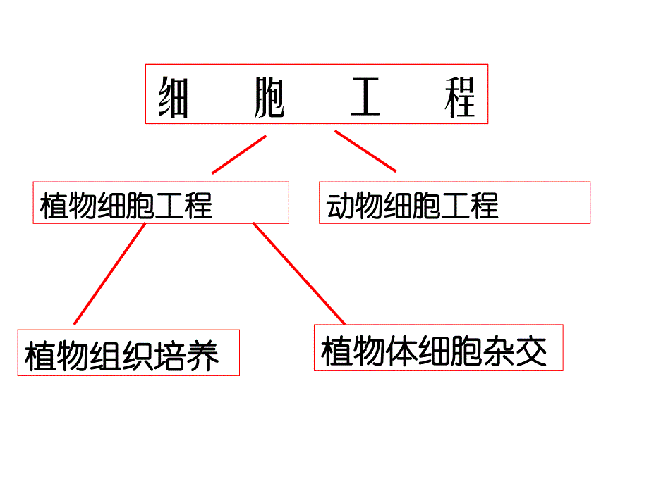 新课标人教版高中生物选修三专题二《细胞工程》精品课件_第3页