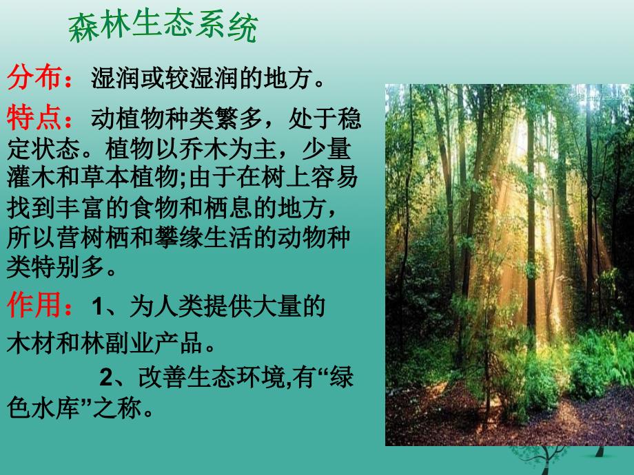 七年级生物上册第一单元第二章第三节生物圈是最大的生态系统课件4新版新人教版.ppt_第4页