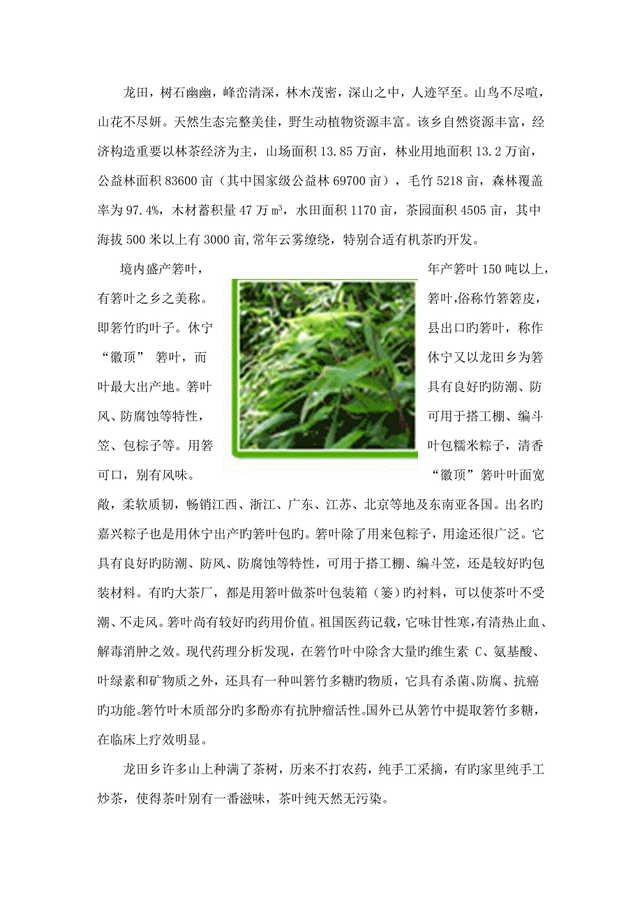 龙田乡重点规划_第2页