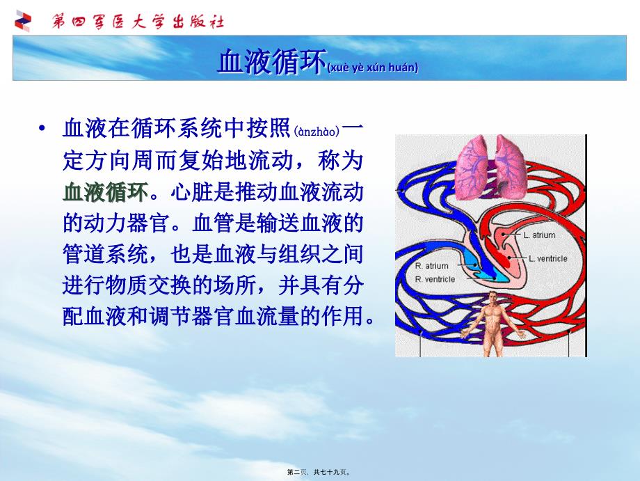 医学专题—生理第四章--血液循环_第2页