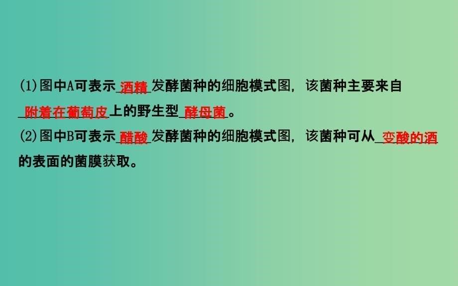 高三生物第一轮复习 专题1 生物技术在食品加工方面的应用课件 新人教版选修1.ppt_第5页