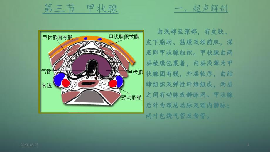 甲状腺超声诊断精品收藏_第4页