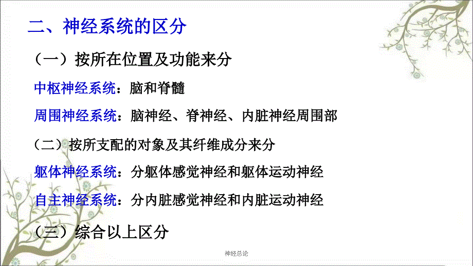 神经总论课件_第3页