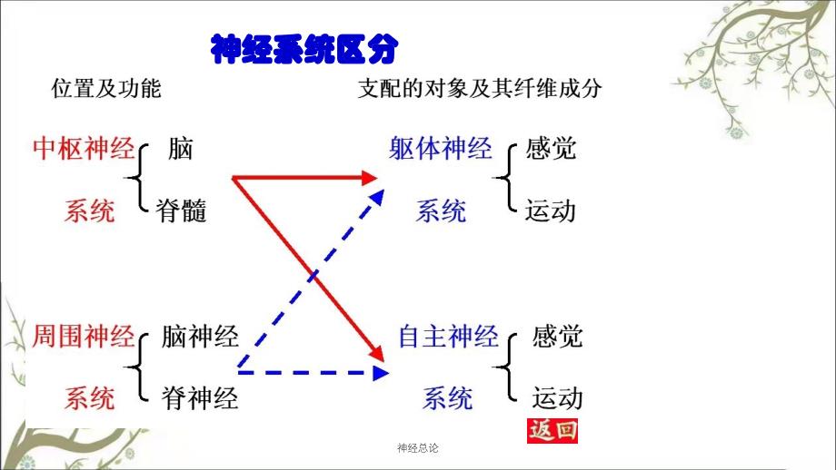 神经总论课件_第4页