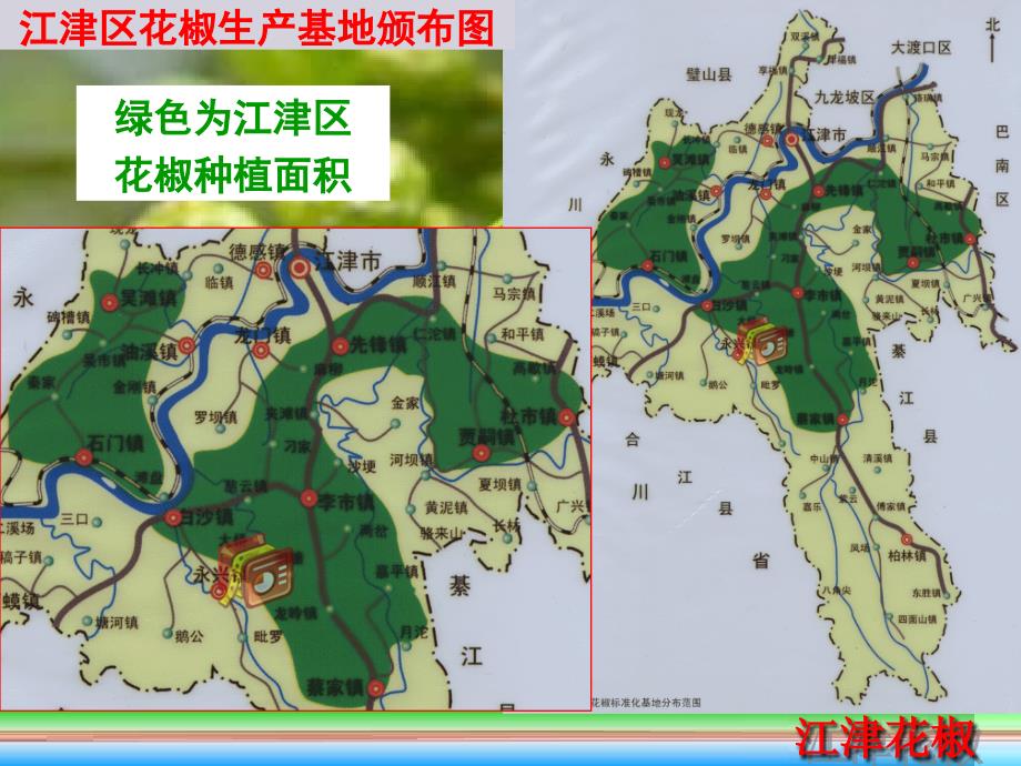 九叶青花椒高产栽培管理技术重庆市江津区农广校PPTminimizer_第3页