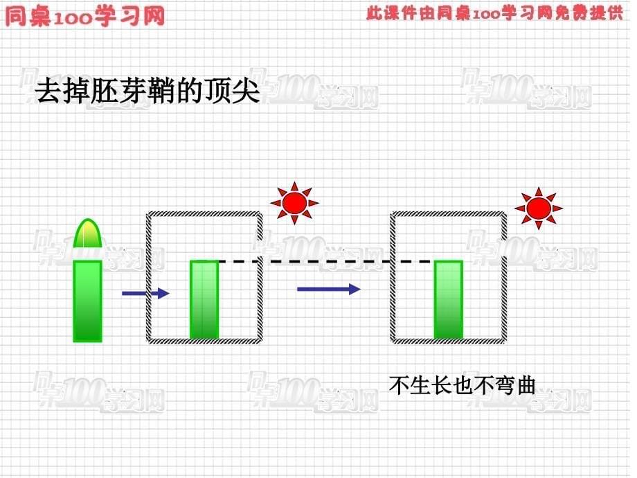 如何解释这些现象呢_第5页