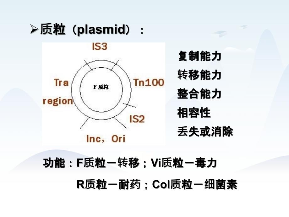 第05章细菌的遗传变异课件_第4页