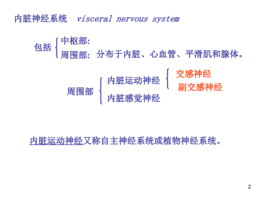 七讲：内脏神经系统_第2页