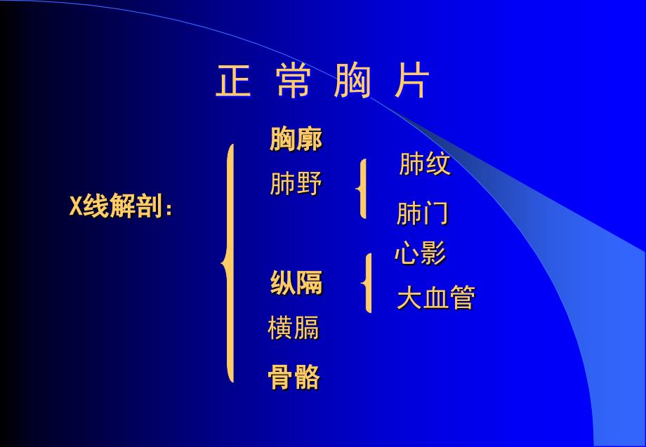 x线平片常见病变讲座文档资料_第2页