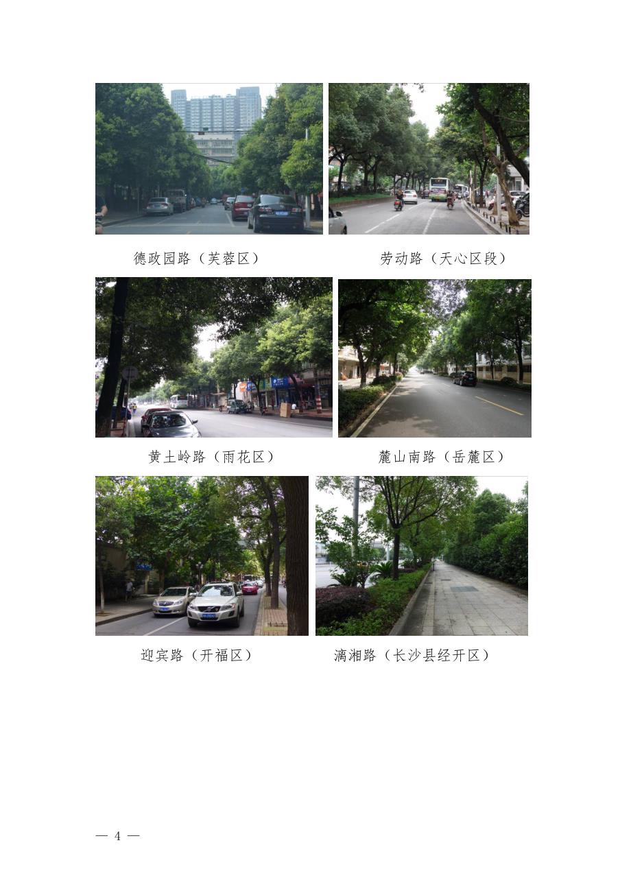 长沙市城市主要道路绿化现状_第4页