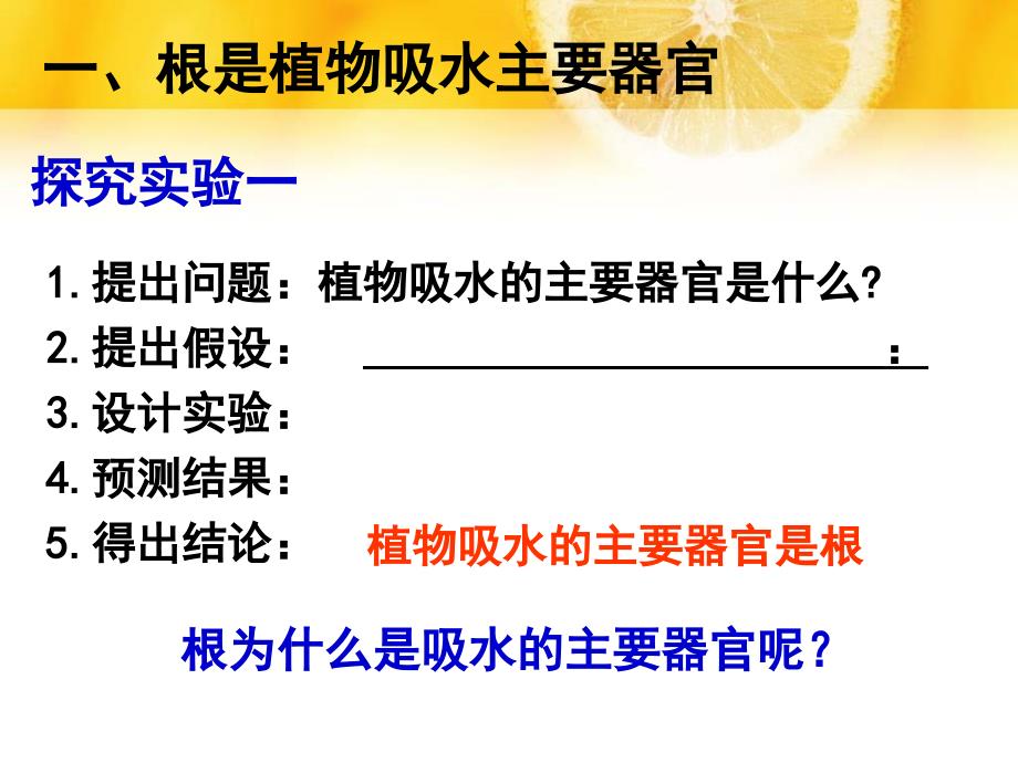 冀少版八上生物ppt课件22根对水分的吸收_第4页