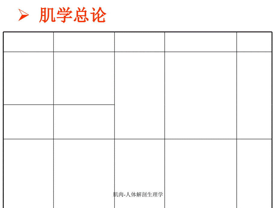 肌肉-人体解剖生理学_第4页