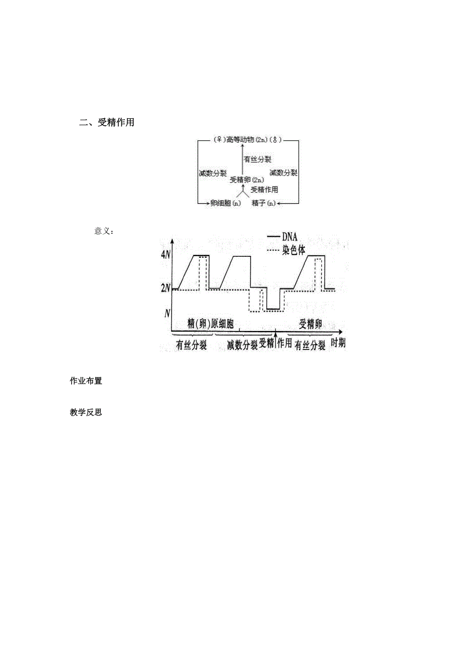 人教高中生物必修2导学案：第二章第1节 减数分裂和受精作用第3课时_第3页