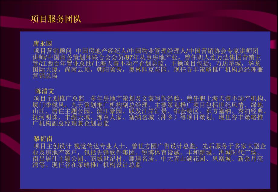 天丰行广告媒介代理公司关于天壹项目推广方案_第2页