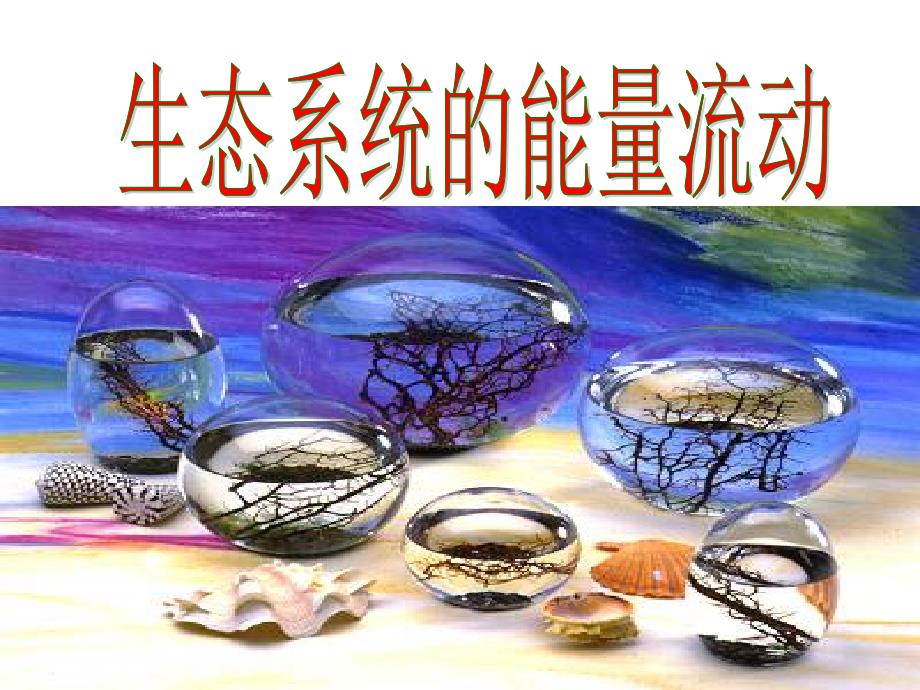 生物课件-能量流动和物质循环_第1页