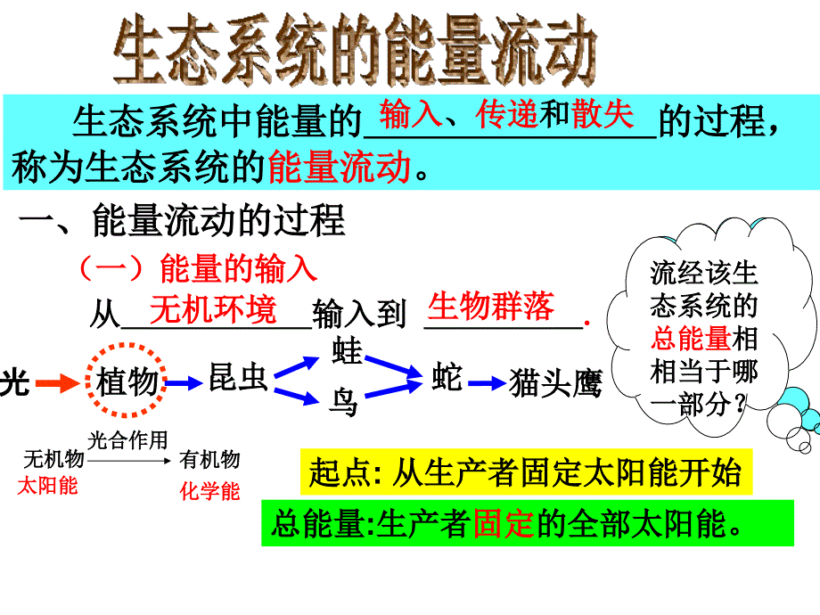 生物课件-能量流动和物质循环_第4页