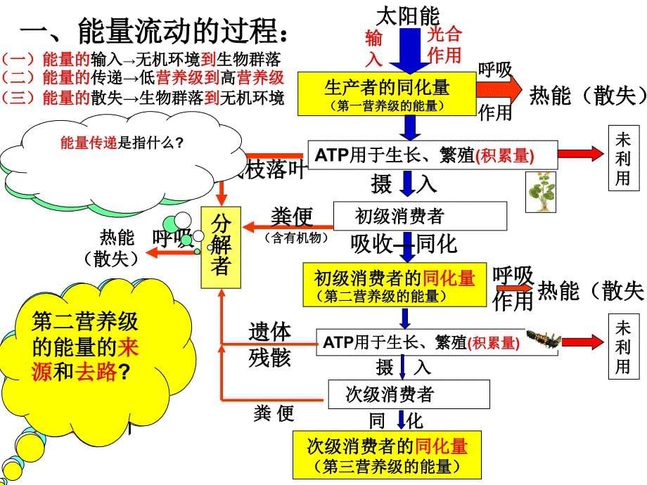 生物课件-能量流动和物质循环_第5页