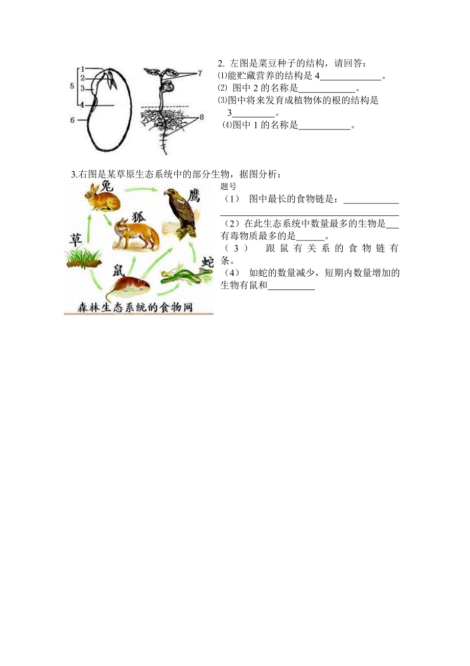 七年级生物上册期末试卷.doc_第4页