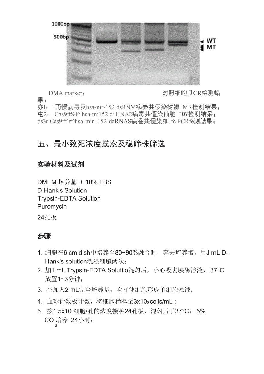 CRISPRCas9基因编辑操作步骤及详细说明_第5页