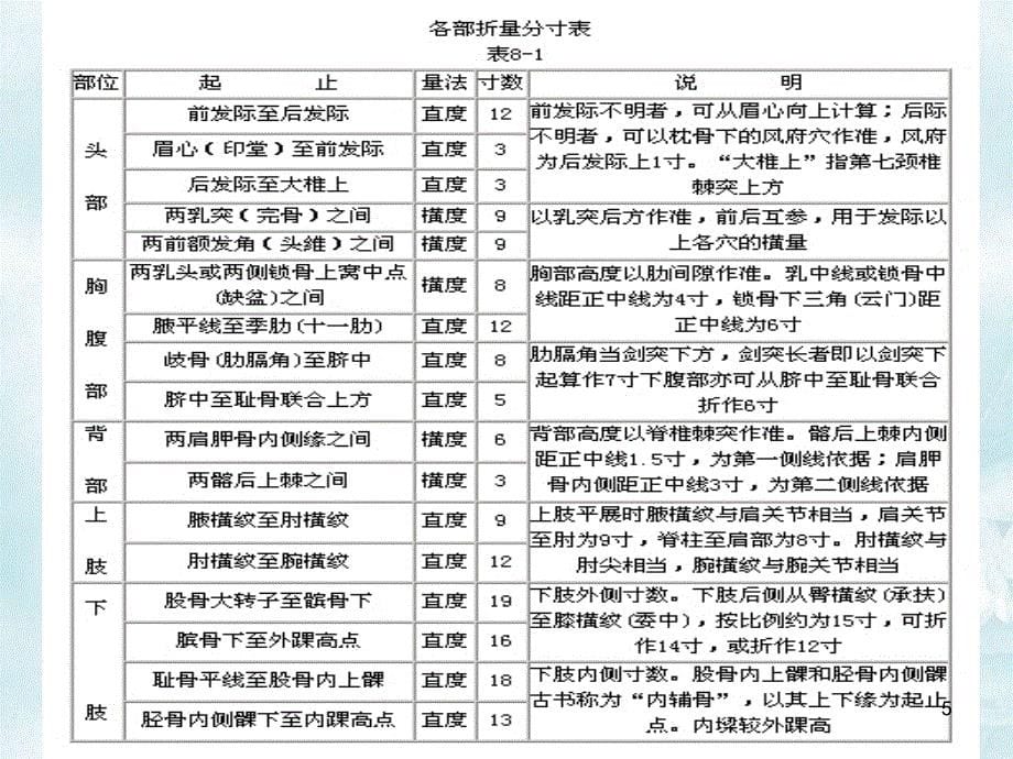 常见穴位及定位ppt课件_第5页