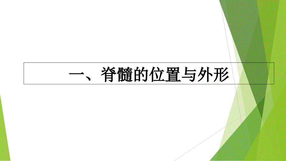 脊髓解剖与定位_第3页