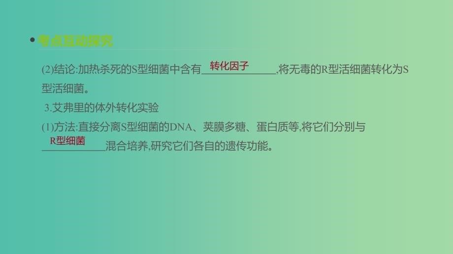 2019届高考生物一轮复习 第6单元 遗传的分子基础 第17讲 DNA是主要的遗传物质课件.ppt_第5页