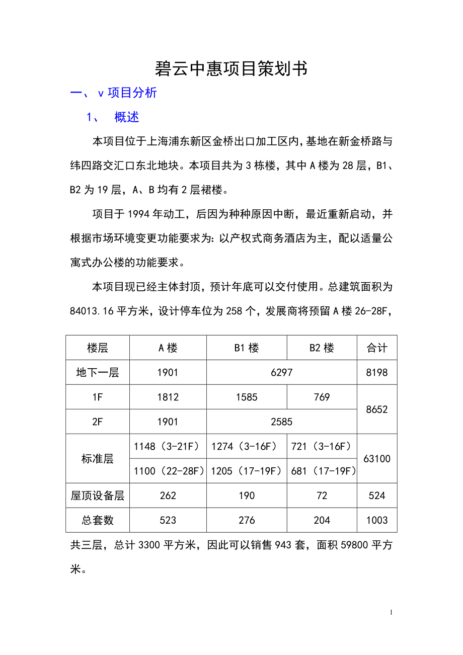 碧云中惠项目策划书