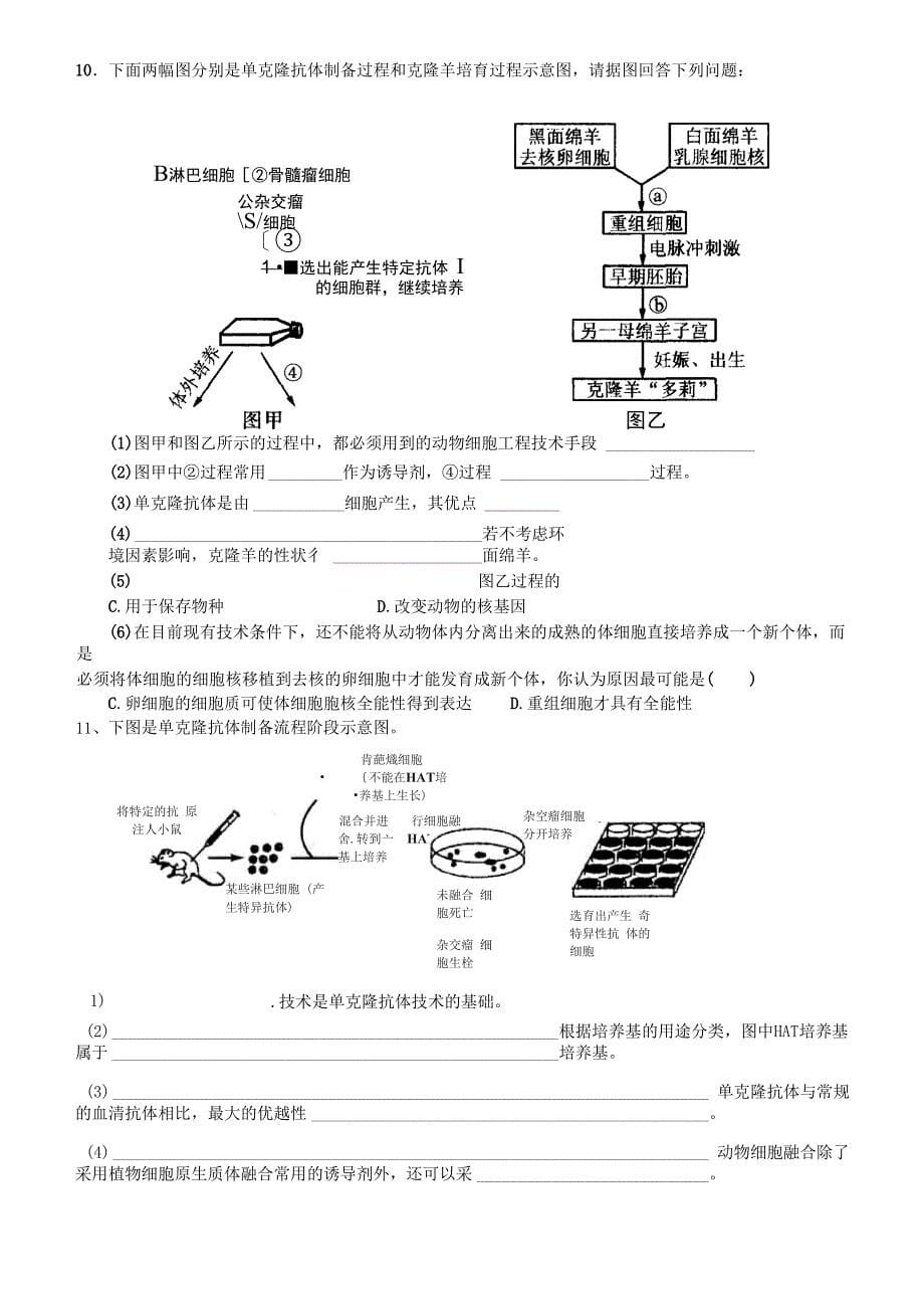 动物细胞工程提纲_第5页