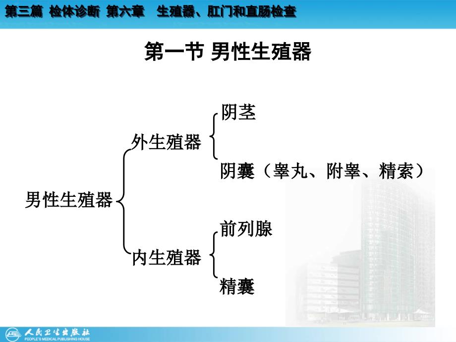 医学专题：生殖器、肛门和直肠检查_第4页