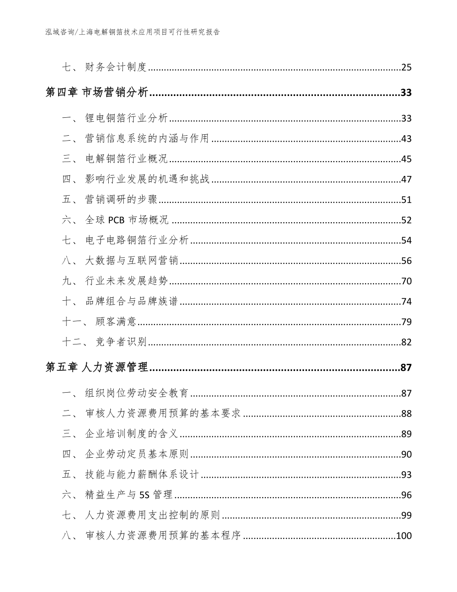 上海电解铜箔技术应用项目可行性研究报告模板范文_第3页
