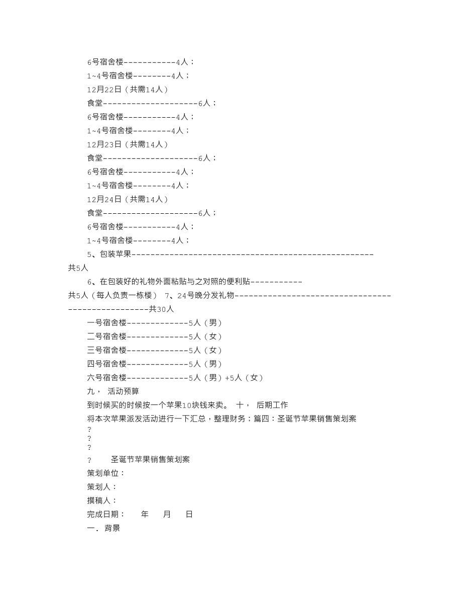 圣诞节苹果促销方案_第5页