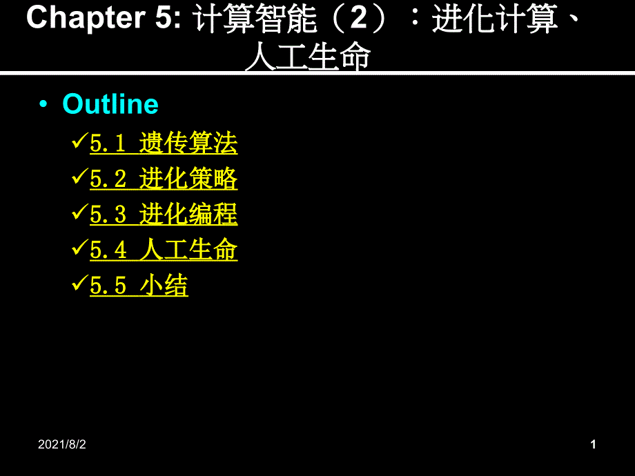 ComputationalIntelligence2_第1页
