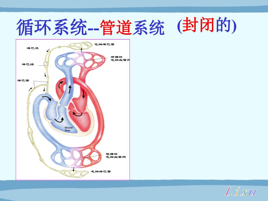 生理学课件：第四章 血液循环_第2页