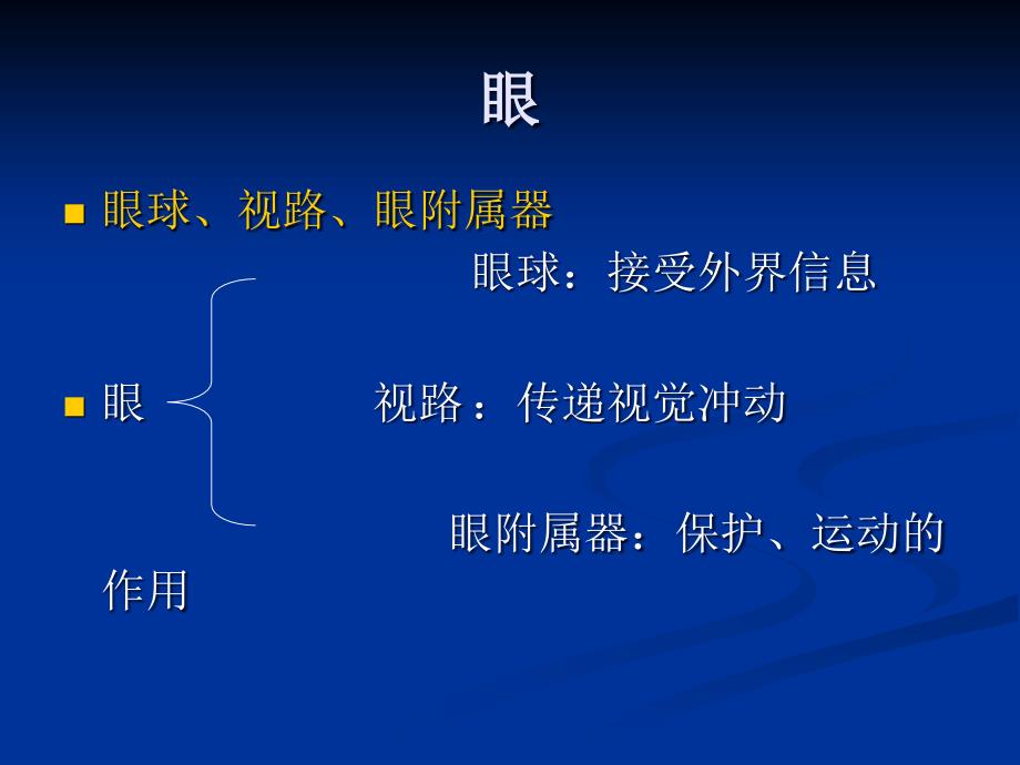 《眼球解剖及生理》PPT课件.ppt_第2页