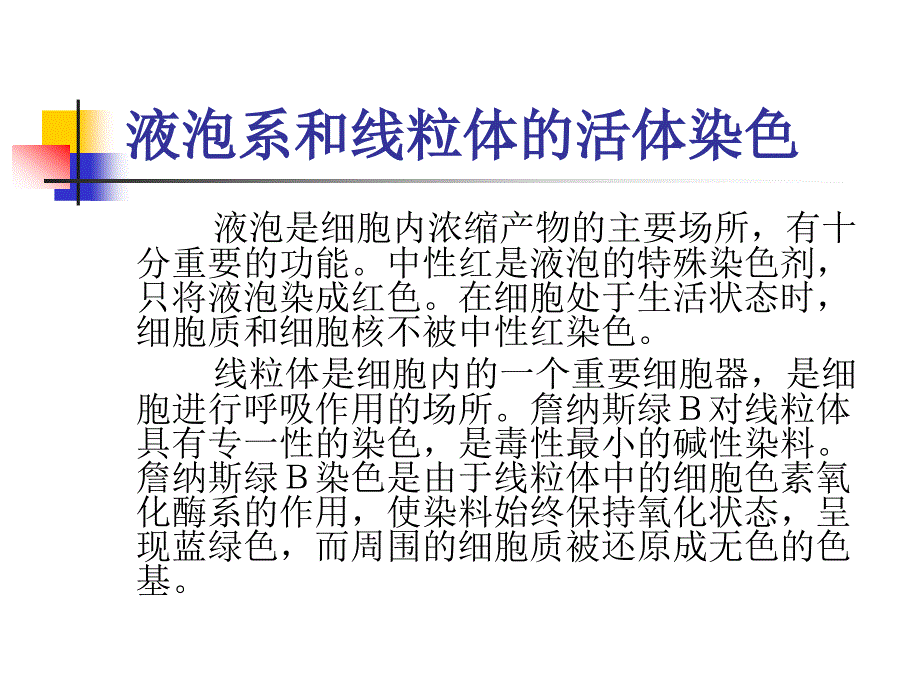 细胞实验课件液泡系和线粒体的活体染色_第2页