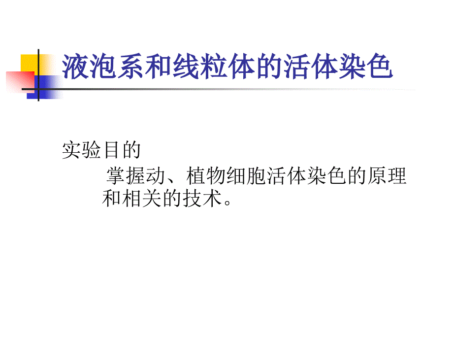 细胞实验课件液泡系和线粒体的活体染色_第3页