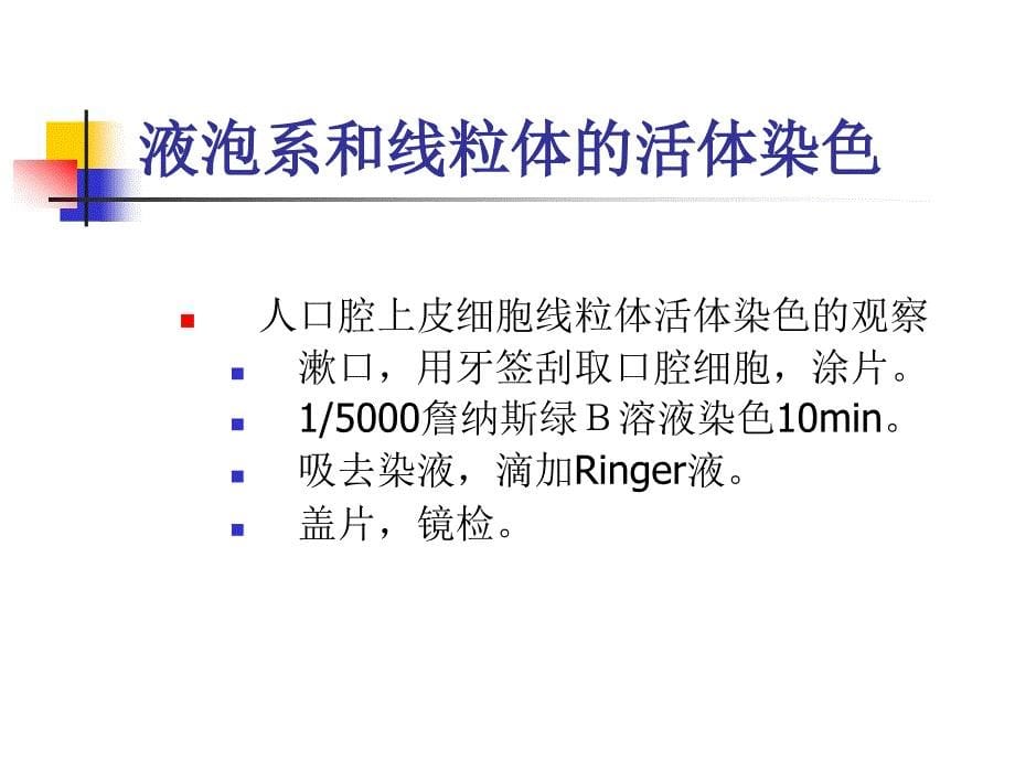 细胞实验课件液泡系和线粒体的活体染色_第5页