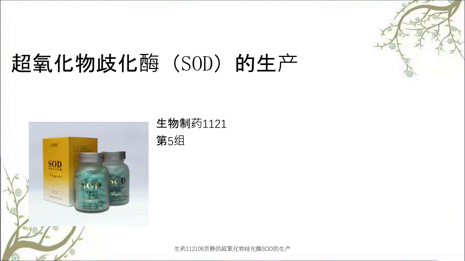生药112106贡静的超氧化物歧化酶SOD的生产_第1页
